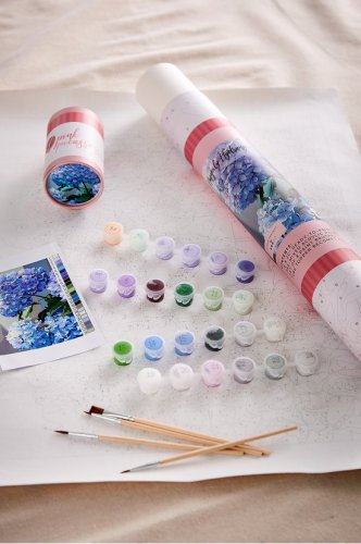 Paint By Numbers Kit