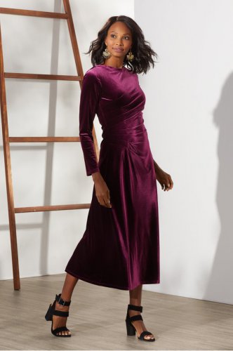 Petites Lisabetta Velvet Dress