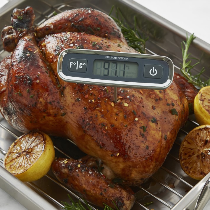 Digital Instant-Read Pen Thermometer