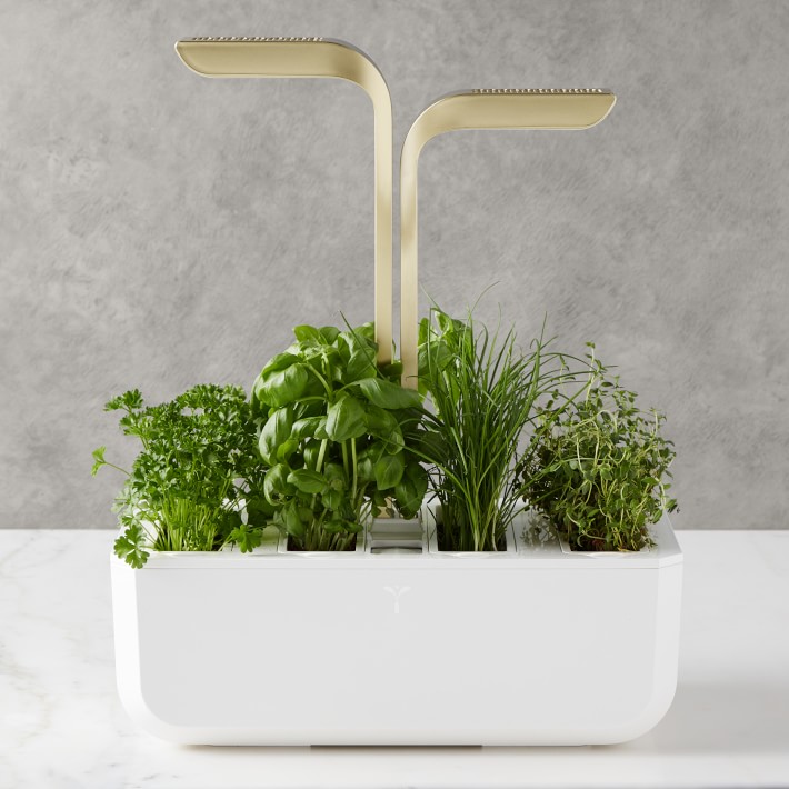 Veritable CONNECT Garden System, Moonlight Gold