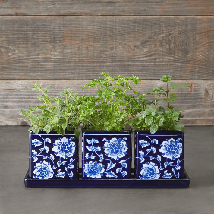 Blue & White Ceramic Herb Tray with Pots, Set of 3