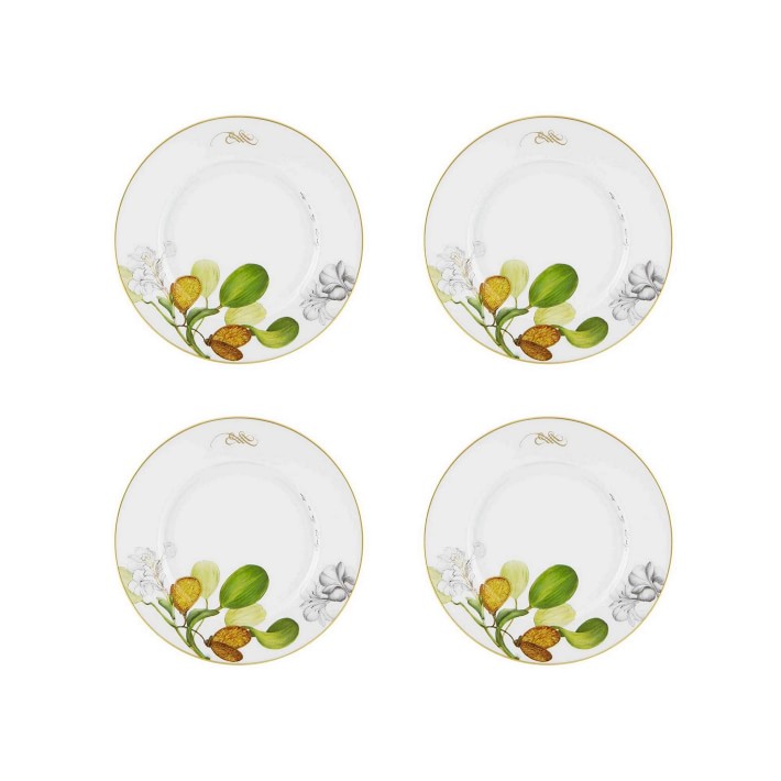 Amazonia Dinner Plates, Set of 4
