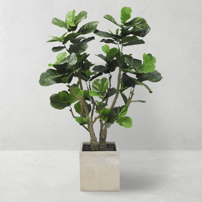 4.3' Faux Fiddle Leaf in Planter