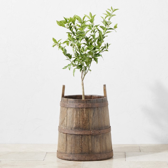 Found Wine Barrel