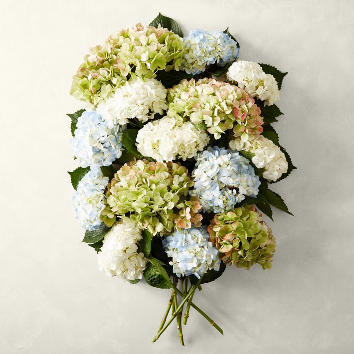 Fresh Mixed Hydrangea Bunches, 14 Stems