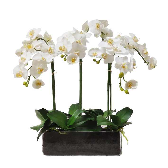 Faux Orchid Phalaenopsis in Rectangular Planter