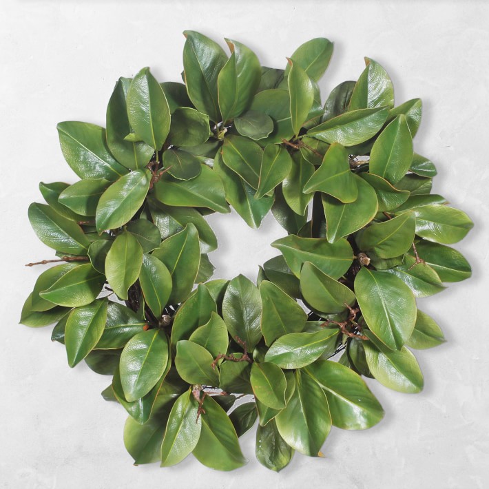 Faux Magnolia Leaf Twig Wreath, 24"