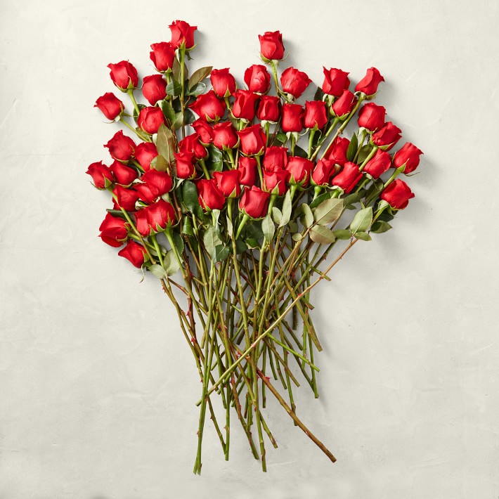 Bulk Red Fresh Rose Stems, Set of 50