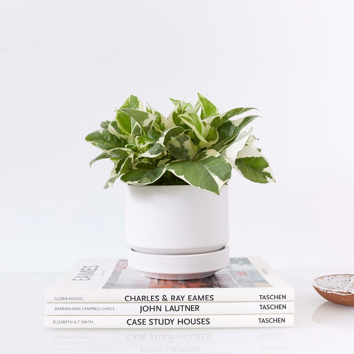REVIVAL Ceramics Round Two White Planter Pot