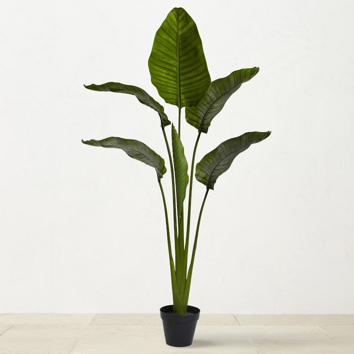 5' UV Resistant Faux Travelers Palm Tree