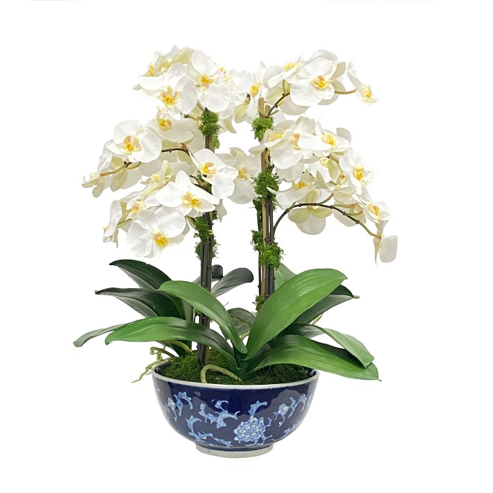 Faux Orchid in Longlife Bowl