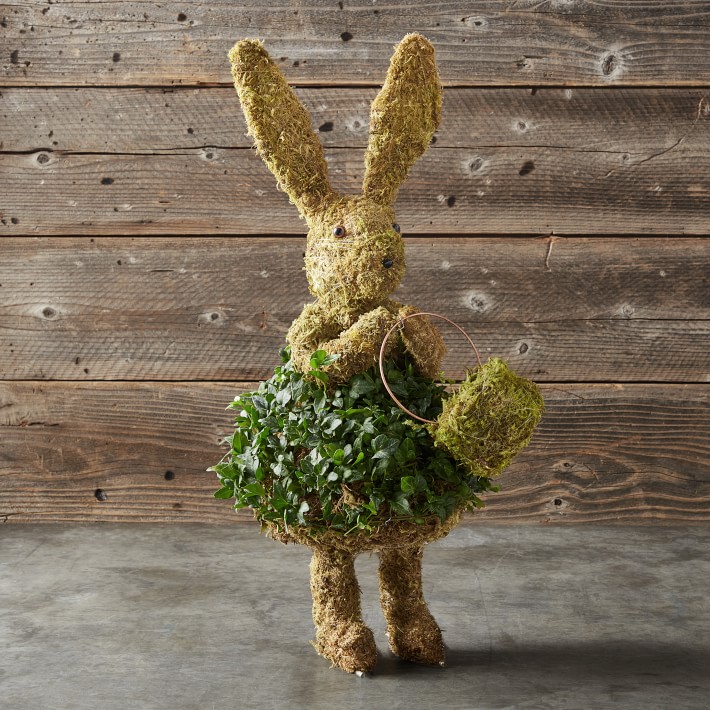 Easter Bunny with Basket Ivy & Moss Live Topiary