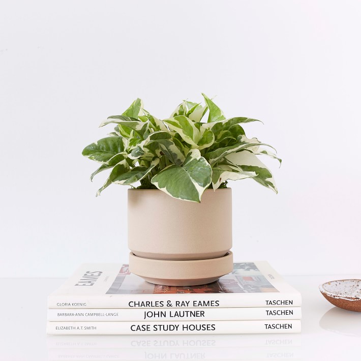 REVIVAL Ceramics Round Two Oatmeal Planter Pot