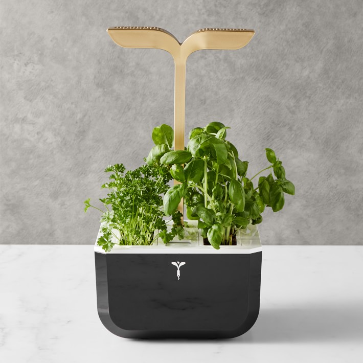 Exky SMART Garden System, Black Copper