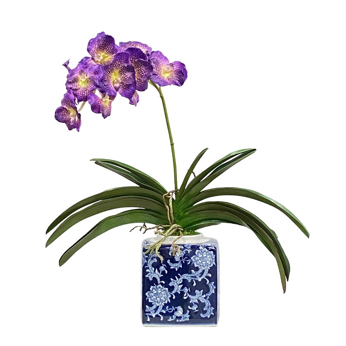 Faux Vanda Orchid in Square Pot