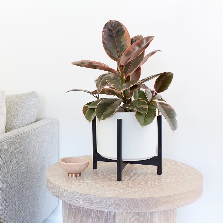 REVIVAL Ceramics White Planter with Black Stain Stand