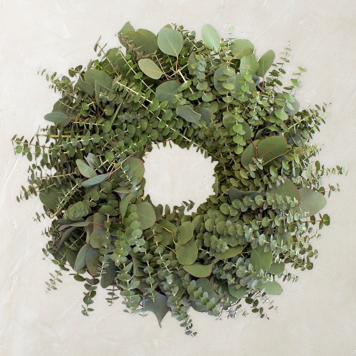 Eucalyptus Live Wreath