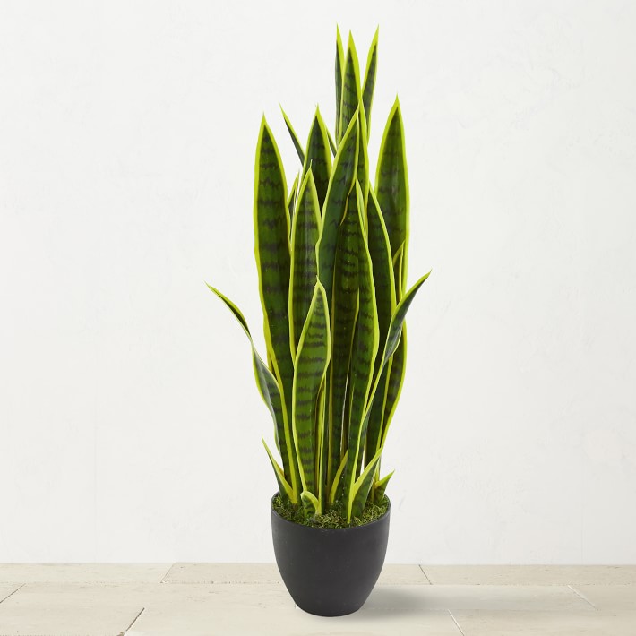 33" Faux Sansevieria Indoor Plant