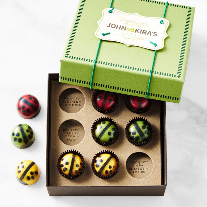 John & Kira's Chocolate Ladybugs