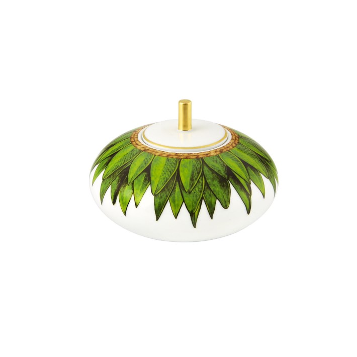 Amazonia Sugar Box