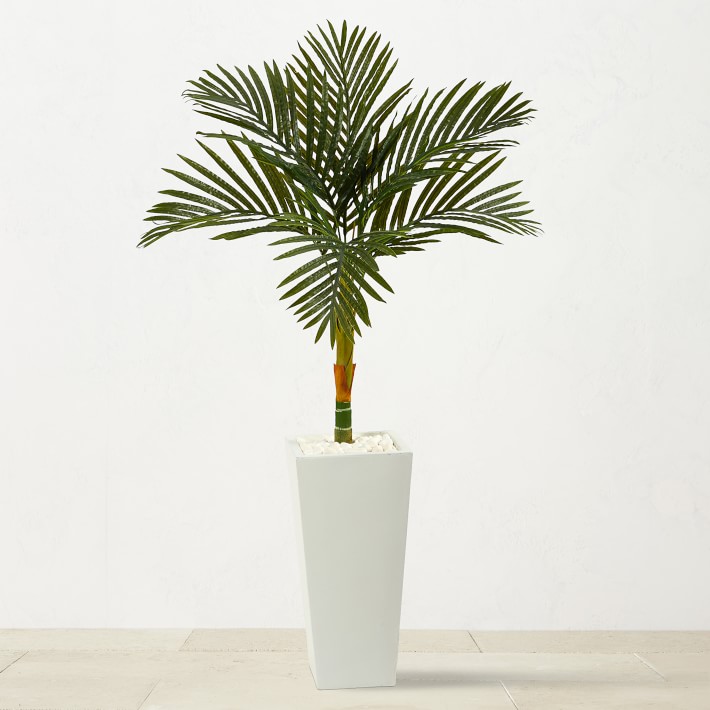 4.5' Faux Golden Cane Indoor White Palm Tree