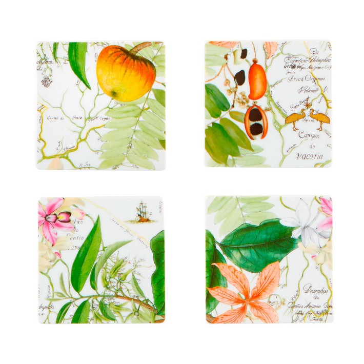 Amazonia Coasters, Set of 4
