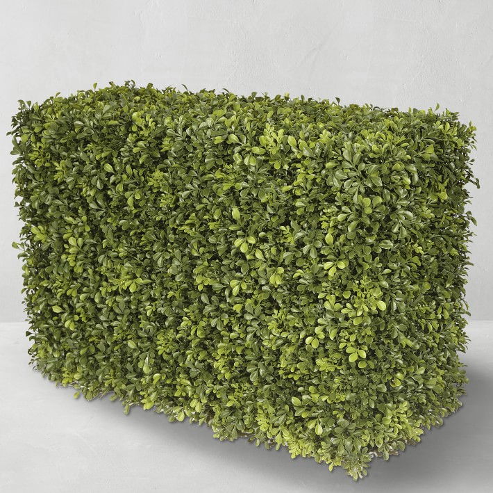 Faux Boxwood Hedges, Set of 2, Indoor\u002FSheltered Outdoor