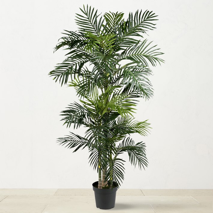 6.5' Faux Indoor Golden Cane Silk Palm Tree