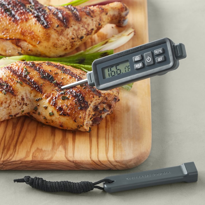 Waterproof Pen Thermometer