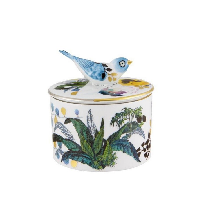 Christian Lacroix Primavera Carria Box