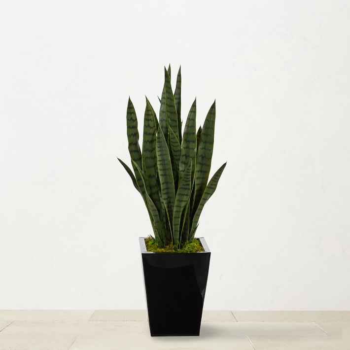 40" Faux Sansevieria Indoor Plant