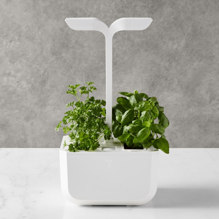 Exky CLASSIC Garden System