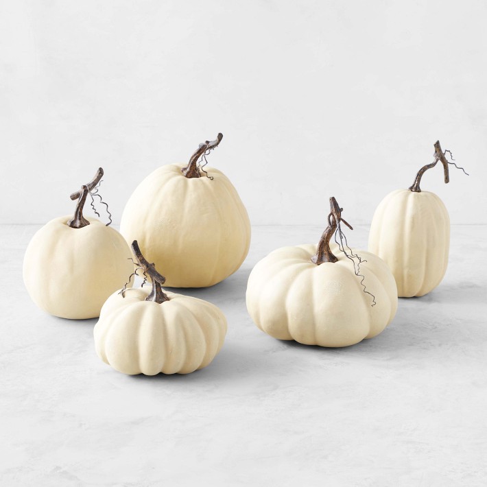 Full Moon Faux Pumpkin Collection, Set of 5