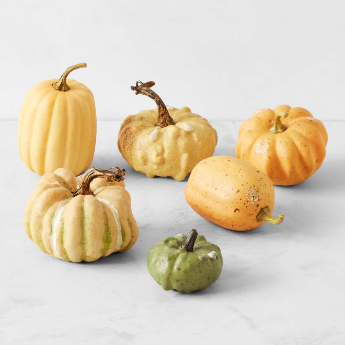 Miniature Assorted Pumpkins Collection, Set of 6
