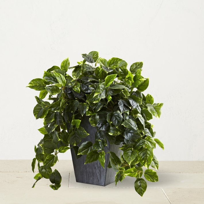 Faux UV Resistant Indoor\u002FOutdoor Pothos with Slate Planter