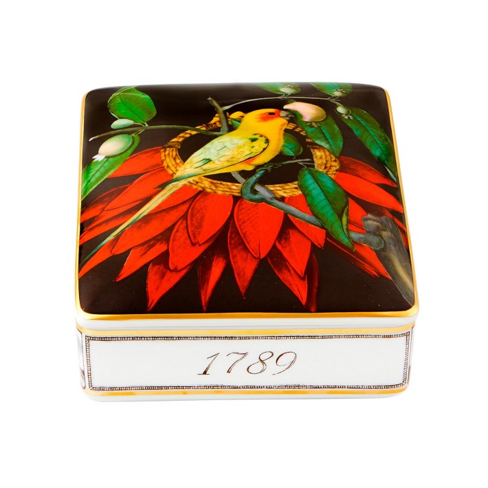 Amazonia Box