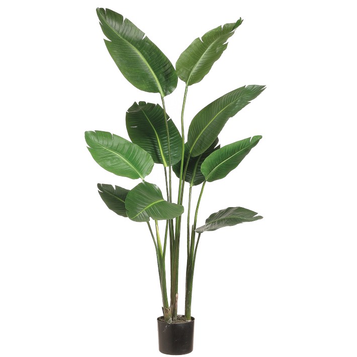 5' Faux Bird of Paradise Plant in Plastic Pot, 10 Leaves