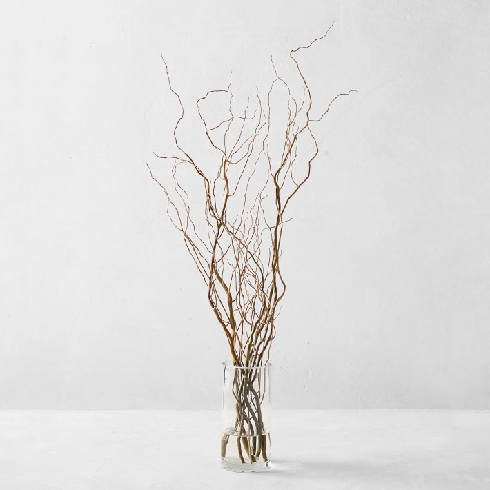 Fresh Curly Willow Branches