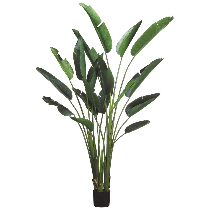 7.75' Faux Bird Of Paradise Plant in Plastic Pot, 18 Leaves